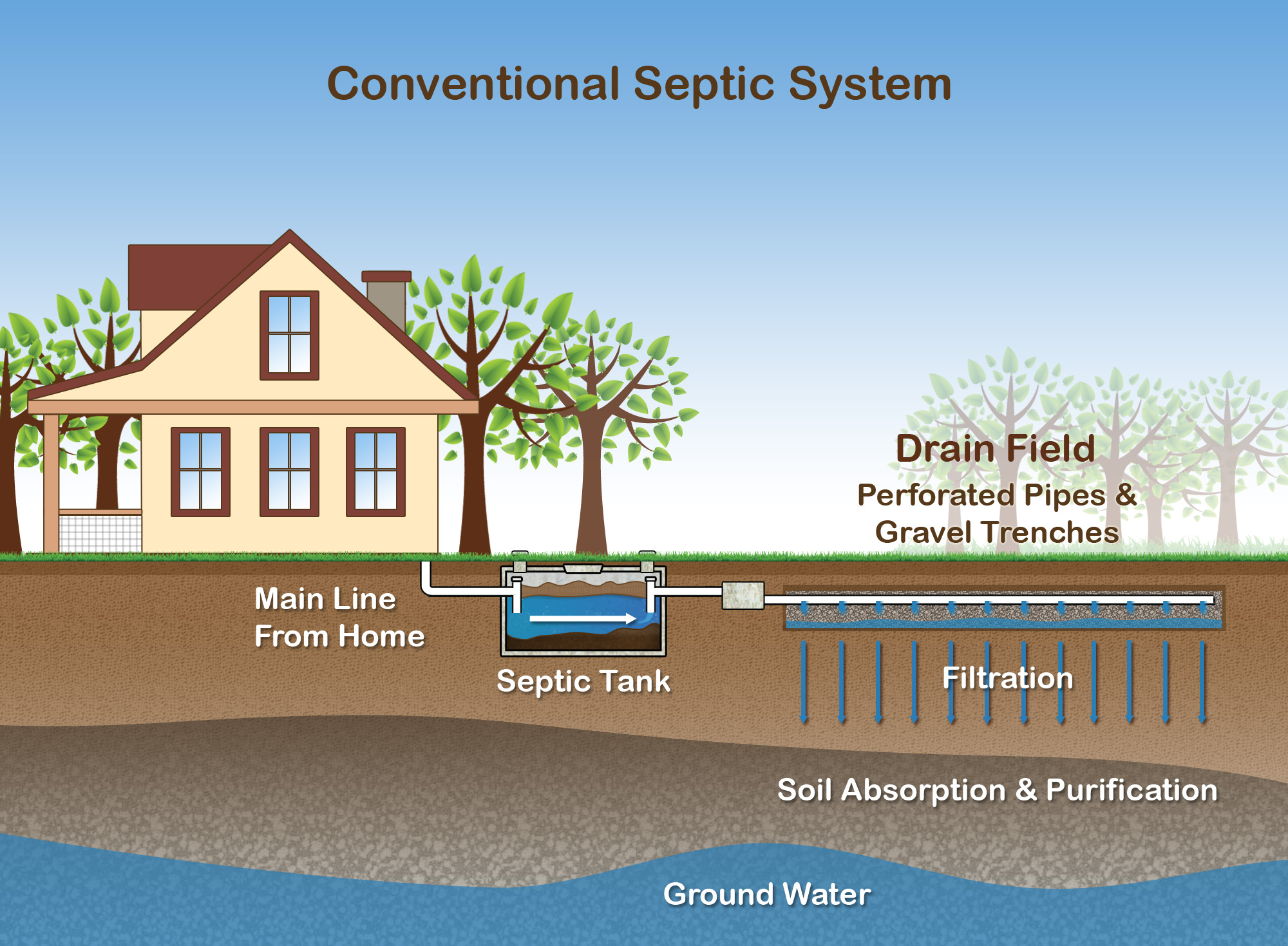 Septic System Overview